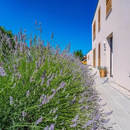 Roberta Zadarvillas Villa *